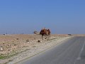 Mount Nebo (30)